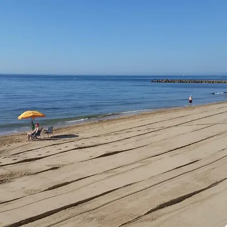 Apartament Frente De La Playa Torrevieja